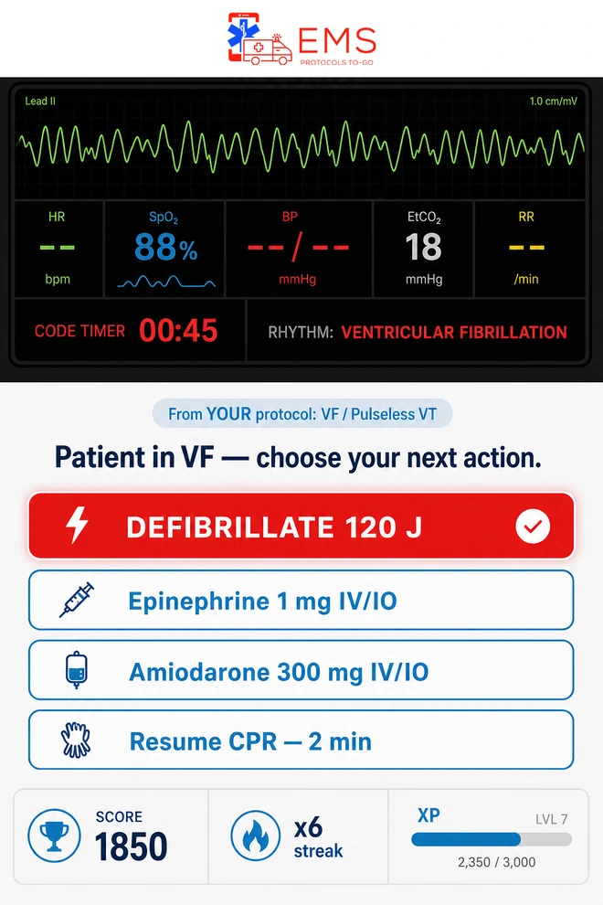 Protocol Mastery Code Simulator running a ventricular fibrillation scenario
